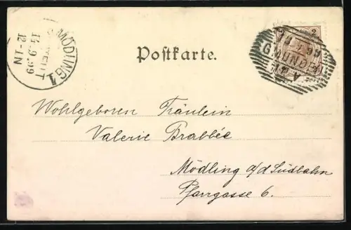 AK Desselbrunn, Traunfall b. Gmunden