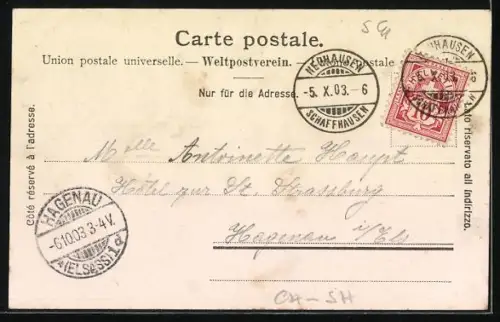 AK Neuhausen, Rheinfall, Panorama mit Schloss