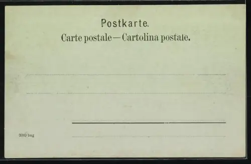 Mondschein-AK Schaffhausen, Teilansicht des Ortes und Blick auf den Rheinfall