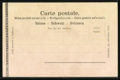 AK Rheinfall, Panorama mit Blick aufs Schloss