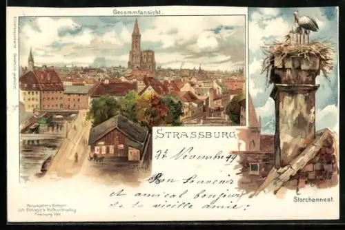 Lithographie Strassburg, Gesamtansicht und Storchennest