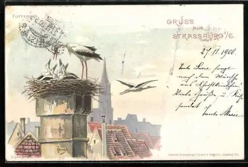 Lithographie Strassburg i. Els., Störche füttern ihre Jungen