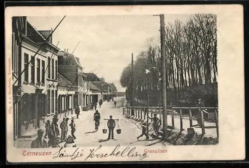 AK Terneuzen, Grenulaan