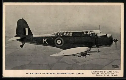 AK Dundee, Valentine & Sons Ltd., Valentine`s Aricraft Flugzeug