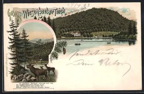 Lithographie Lauterberg / Harz, Wiesenbeeker Teich mit Waldpartie