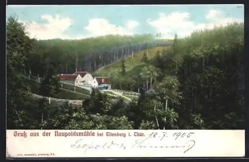 AK Eisenberg i. Thür., Naupoldsmühle im Tal, Waldlandschaft