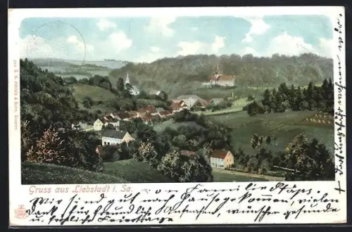 AK Liebstadt i. Sa., Ortsansicht mit Kirche und umliegender Landschaft