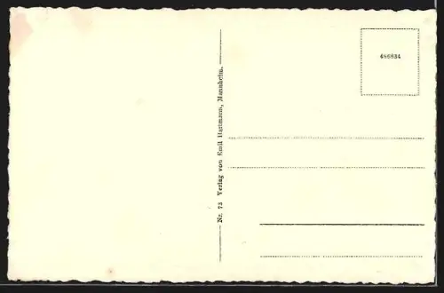 AK Erlenbach / Pfalz, Blick zum Berwartstein