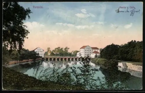 AK Theresienstadt / Terezin, Partie u Ohre