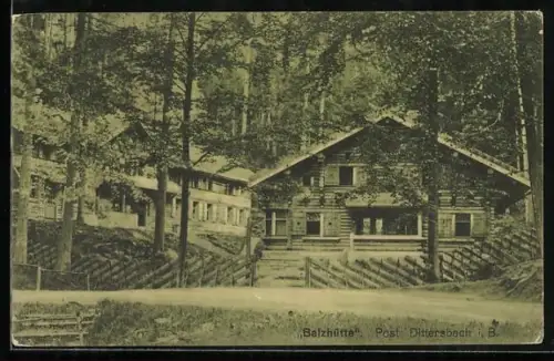 AK Dittersbach i. B., Balzhütte mit Grünanlagen
