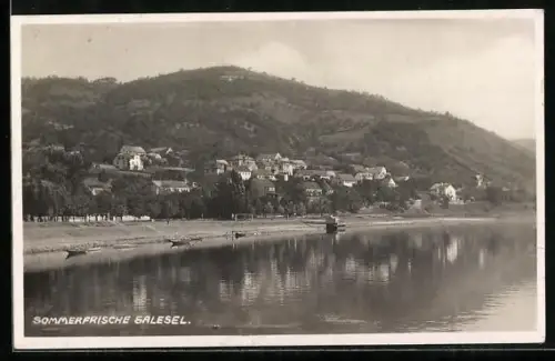 AK Salesel / Dolni Zalezly, Ortsansicht vom Wasser aus