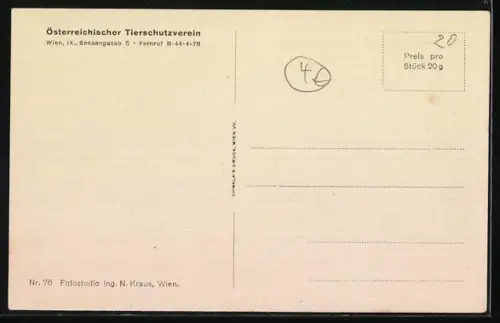 AK Österr. Tierschutzverein, Deutscher Schäferhund