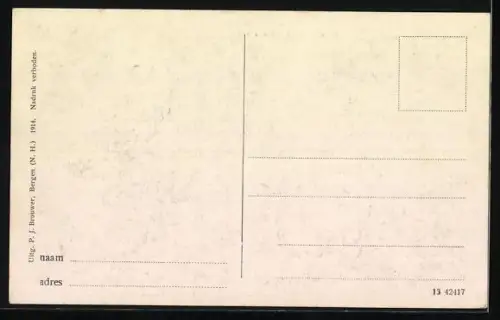 AK Bergen aan Zee, Verbrande Pan in de duinen