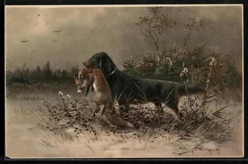 Künstler-AK August Müller - München: Jagdhund aportiert gestellten Fuchs