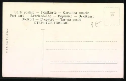Künstler-AK Alfred Schönian: zwei Bernhardiner