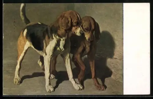 Künstler-AK zwei Jagdhunde