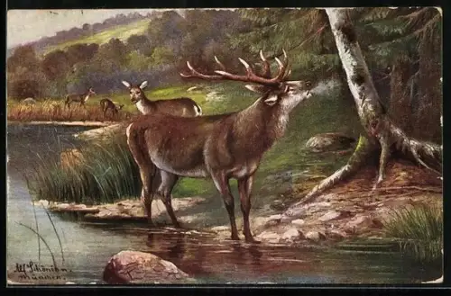 Künstler-AK Alfred Schönian: Hirsch mit Rehen am Ufer