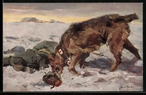 Künstler-AK Sanitätshund findet verwundeten Soldaten