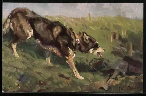 Künstler-AK Sanitätshund