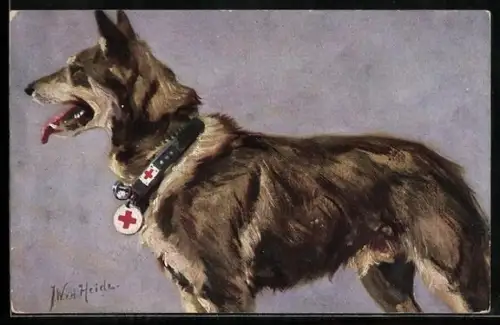 Künstler-AK Sanitätshund im Felde, 1. Deutscher Schäferhund
