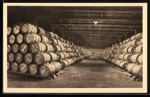 AK Bordeaux, Mähler-Besse & Cie., Un de nos chais de vieillissement