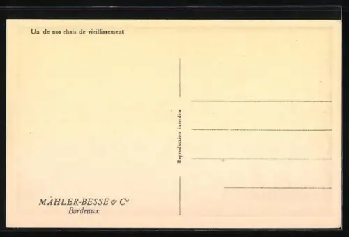 AK Bordeaux, Mähler-Besse & Cie., Un de nos chais de vieillissement