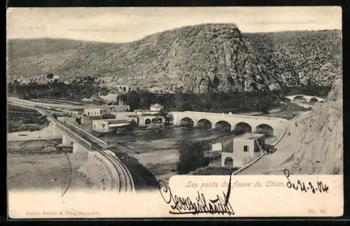 AK Nahr al-Kalb, Les ponts du fleuve du Chien