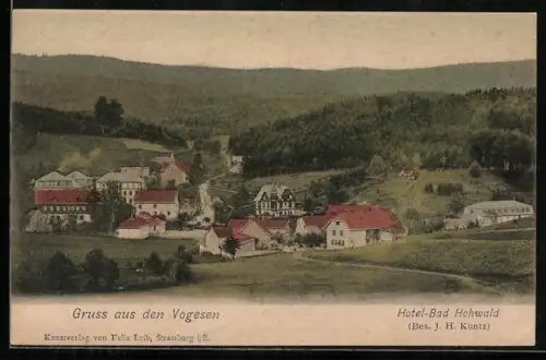 AK Bad Hohwald, Ortsansicht mit Hotel