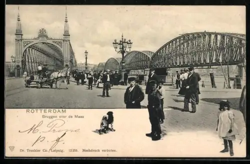 AK Rotterdam, Bruggen over de Maas