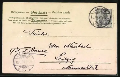 Künstler-AK Sophie Wencke: Birken im Sturm