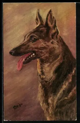 AK Portrait eines Schäferhundes mit hängender Zunge