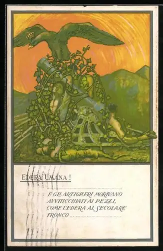 AK Artillerie, Edera Umana, Adler landet auf verwuchertem Geschütz