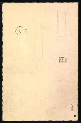 AK Schäferhund hat aufmerksam die Ohren aufgestellt