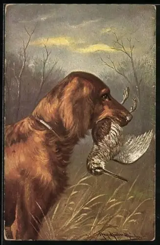 Künstler-AK August Müller - München: Jagdhund mit Beute im Maul steht im Feld