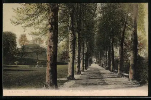 AK Canterbury, Dane John