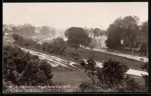 AK Tunbridge Wells, View of the Common
