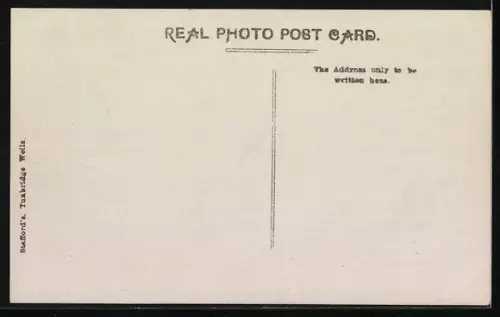 AK Tunbridge Wells, View of the Common