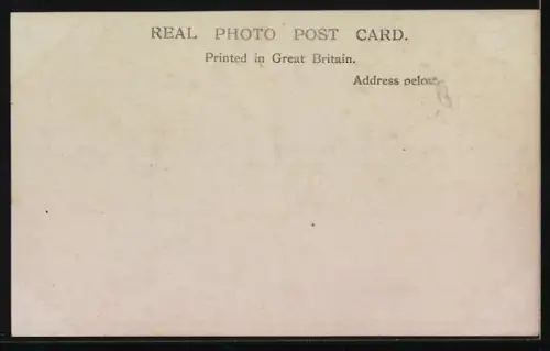 AK Cobham, View of the Church and its graveyard