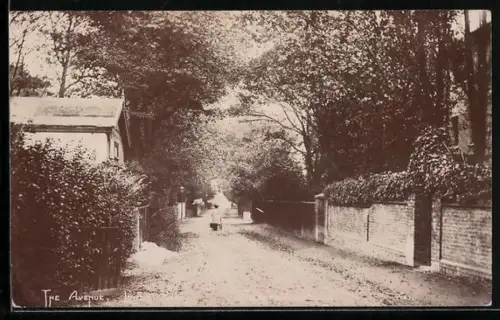 AK Folkestone, View of the Avenue