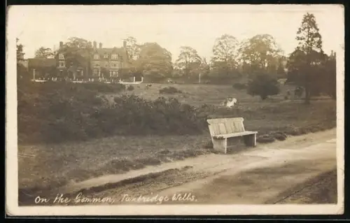 AK Tunbridge Wells, On the Common