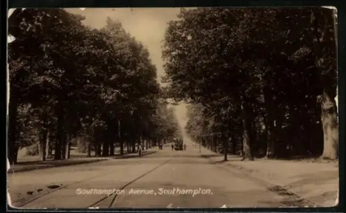 AK Southampton, Southampton Avenue