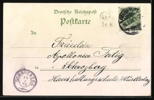 Lithographie Alt-Frankfurt, Goethe`s Geburtshaus, Palmen-Garten