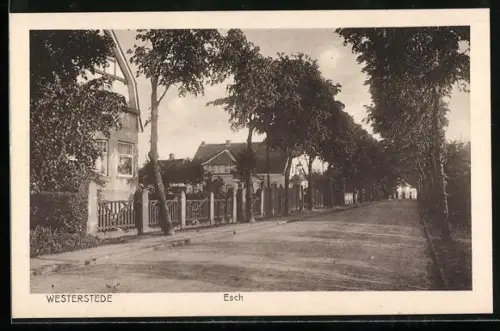 AK Westerstede, Strassenpartie Esch