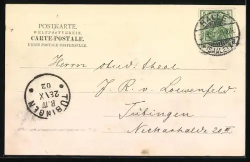 AK Halle a. Saale, Dom vom Domplatz aus