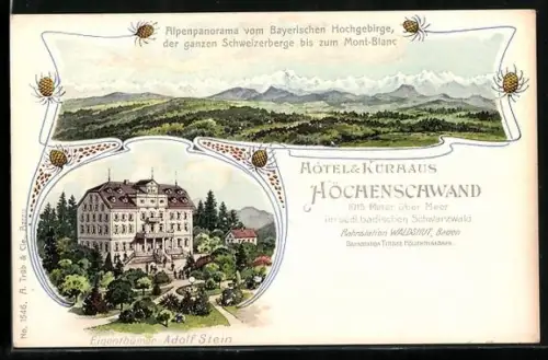 Lithographie Waldshut /Baden, Höchenschwand, Hotel & Kurhaus, Eigentümer Adolf Stein, Alpenpanorama