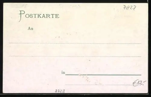 Lithographie Waldshut /Baden, Höchenschwand, Hotel & Kurhaus, Eigentümer Adolf Stein, Alpenpanorama