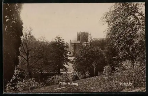 AK Milton, View of the Milton Abbey