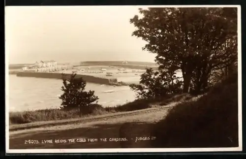 AK Lyme Regis, The Cobb from the Gardens
