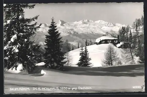 AK Th. K. Hollhaus /Tauplitzalm, Panorama gegen Dachstein