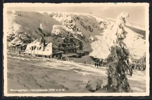 AK Hampelbaude /Riesengebirge, Blick auf die verschneite Hampelbaude